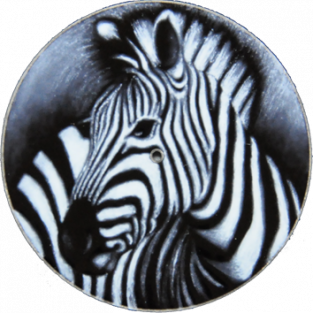 zebre